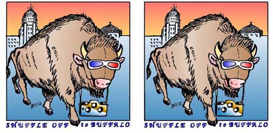 Stereo picture of a Buffalo with camera and anaglyph glasses